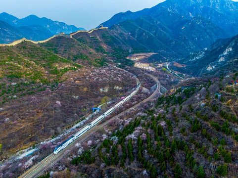 花海列车