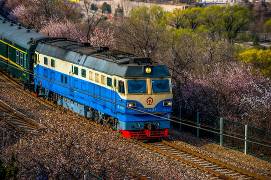 花海列车