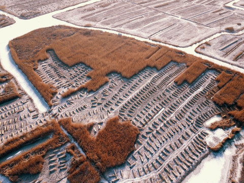 航拍湿地风光 雪后马踏湖