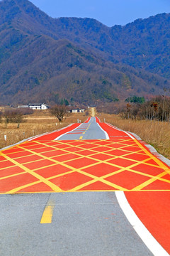 彩色道路