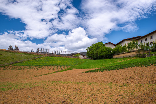 香格里拉田园风光