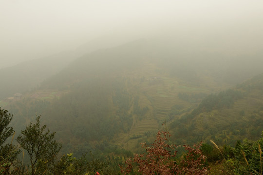 大山迷雾