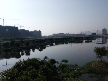 湿地公园风景