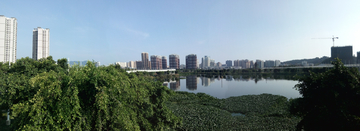 东岸湿地公园 风光全景图