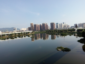 湿地公园风景