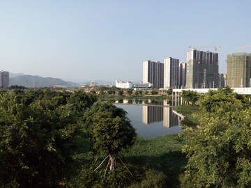 湿地公园风景