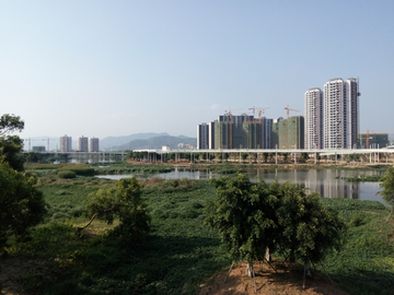 湿地公园风景