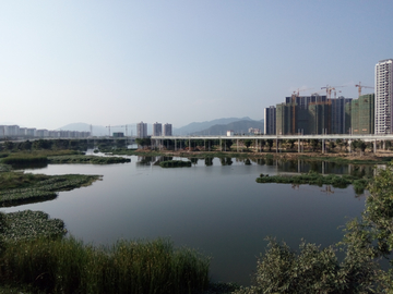 湿地公园风景