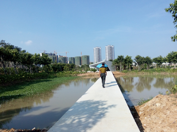 湿地公园道路