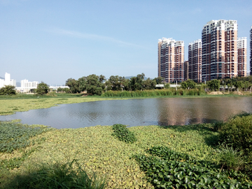 湿地公园风景