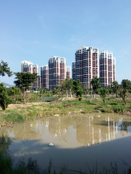 湿地公园风景