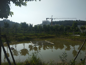 湿地公园风景