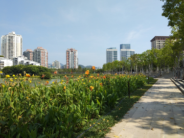 湿地公园风景