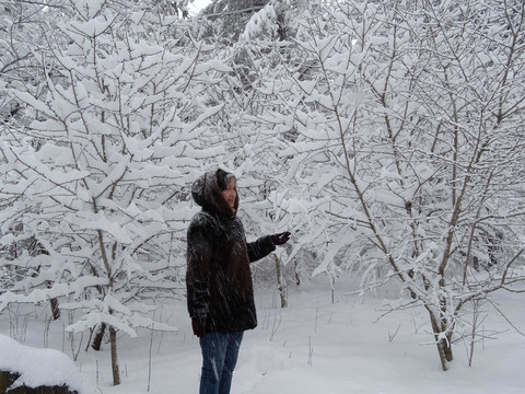 林海雪原