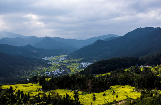 婺源江岭