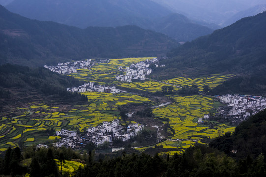 婺源江岭