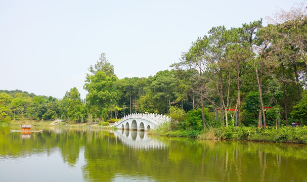 植物园 湖畔美景 湖畔