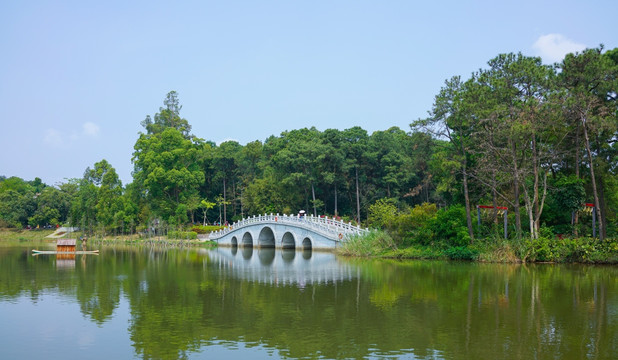 桥 湖畔 湖泊 植物园