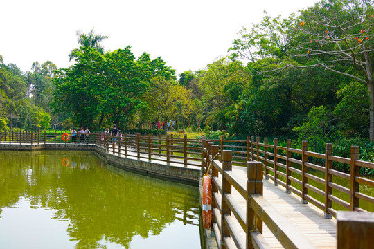 水上栈道 栈道 植物园