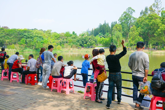 湖边的人群 降暑 城市郊外