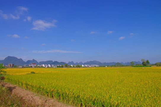 明亮田园风光