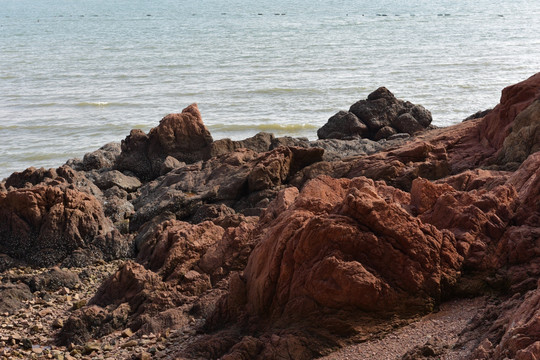 海滩 石头 礁石