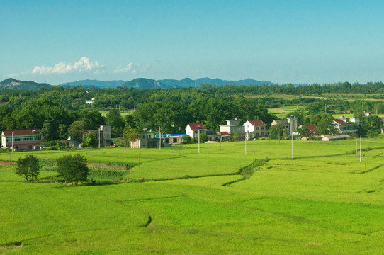 农田风景