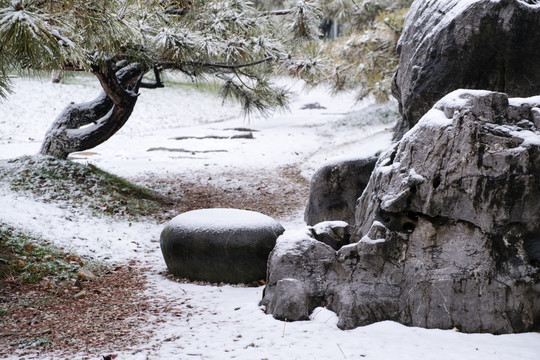 雪景園藝