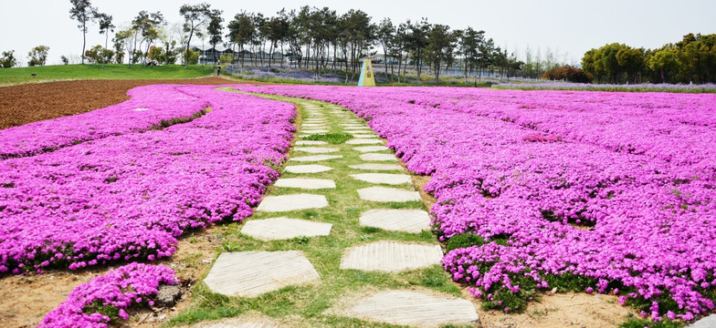 花间小道