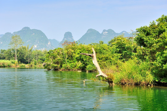 黑水河湿地