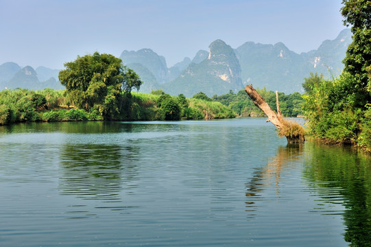 黑水河湿地