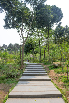 桃花岛石阶