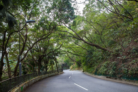 香港太平山下山公路风景