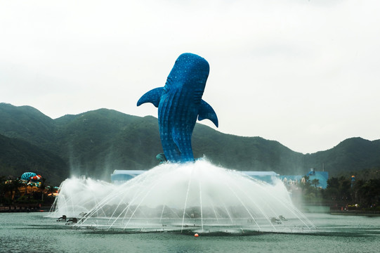 鲸鲨 鲸鲨馆 鲸鲨雕塑