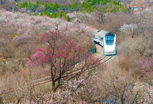 花海列车