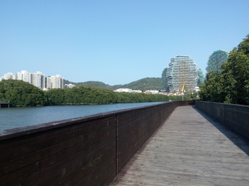 美丽之冠 大树公馆风景