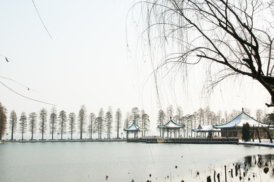 湖边风景