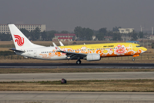 中国国际航空 彩绘飞机 黄牡丹
