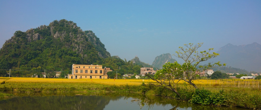 乡村 马兰风光 阳春马兰