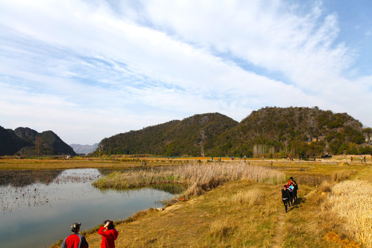 山水风光