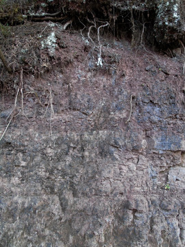 风化的沉积岩岩层肌理图片