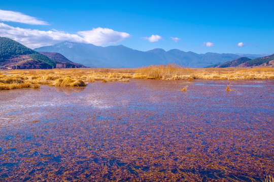 泸沽湖风光