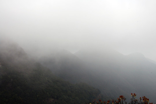 高山晨雾 云雾 雾景