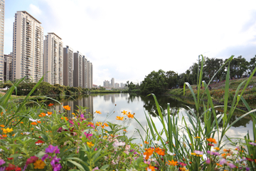 鲜花湖泊高楼