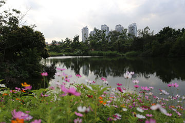 高楼花丛湖泊