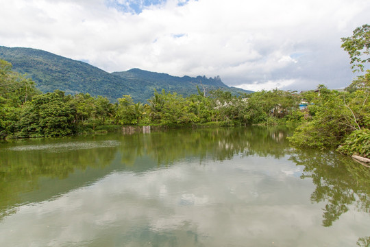 热带雨林