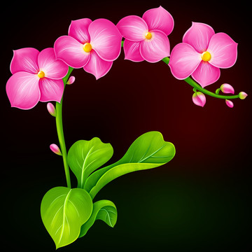 粉紅小花