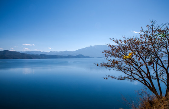 泸沽湖风光