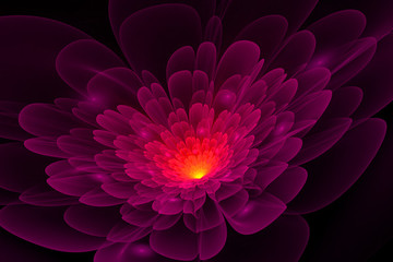 花朵圖案