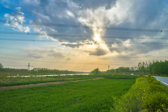 电网 夕阳 高清大画幅